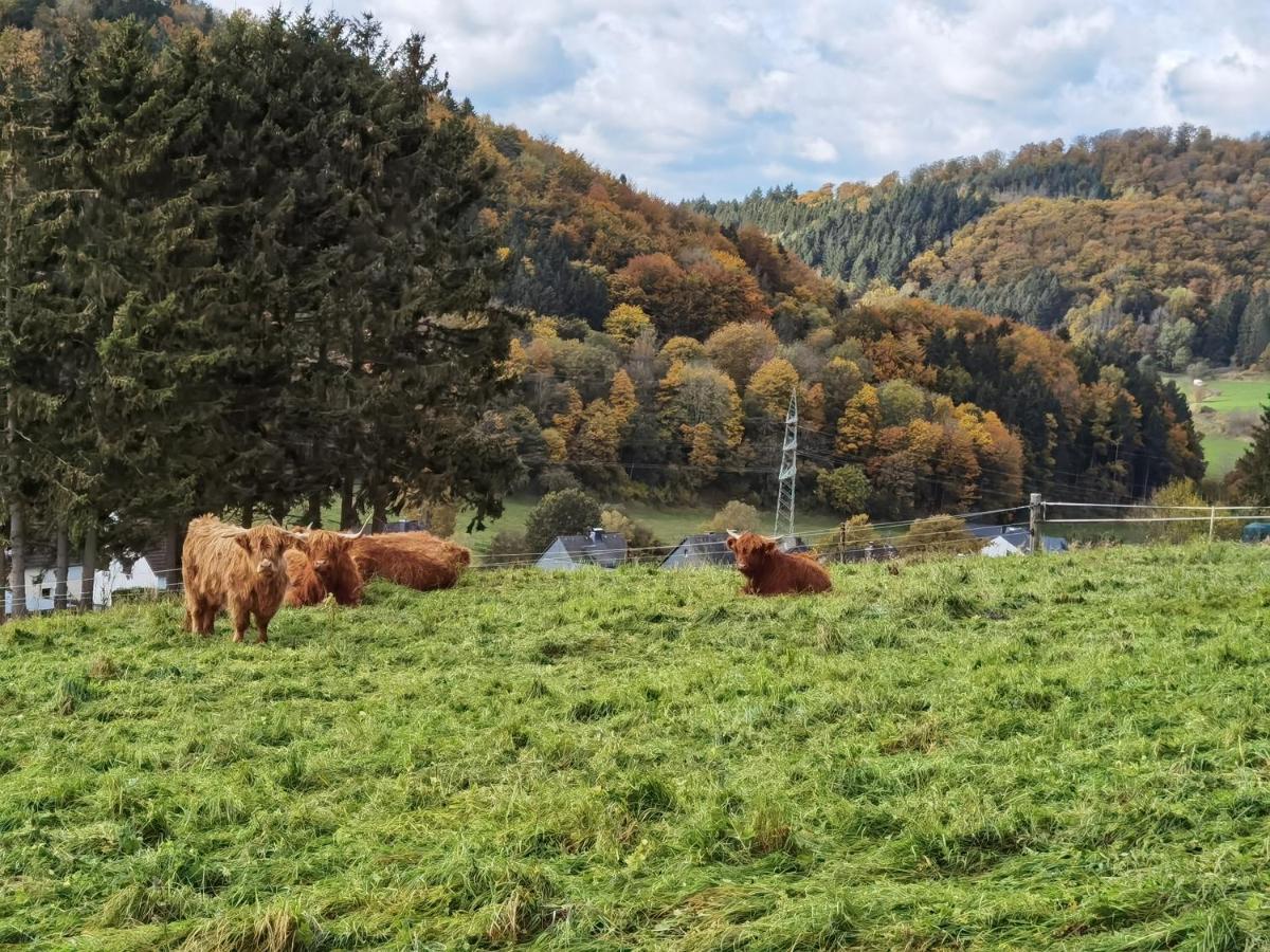 Ferienhaus Waldblick Hohenfels-Essingen Eksteriør billede