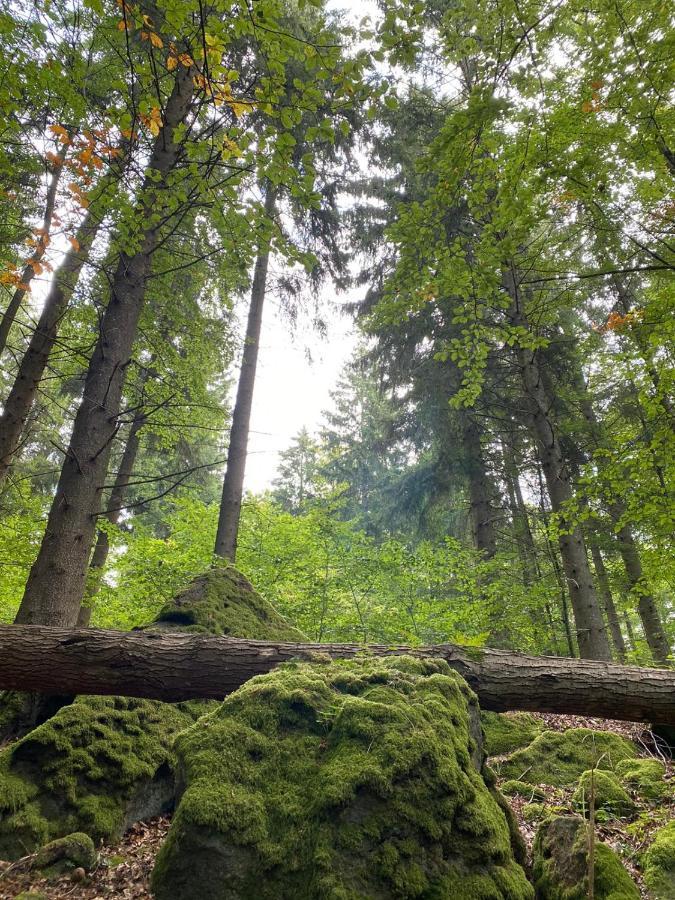 Ferienhaus Waldblick Hohenfels-Essingen Eksteriør billede