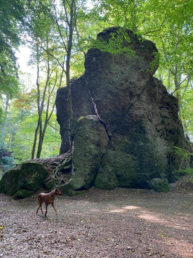 Ferienhaus Waldblick Hohenfels-Essingen Eksteriør billede
