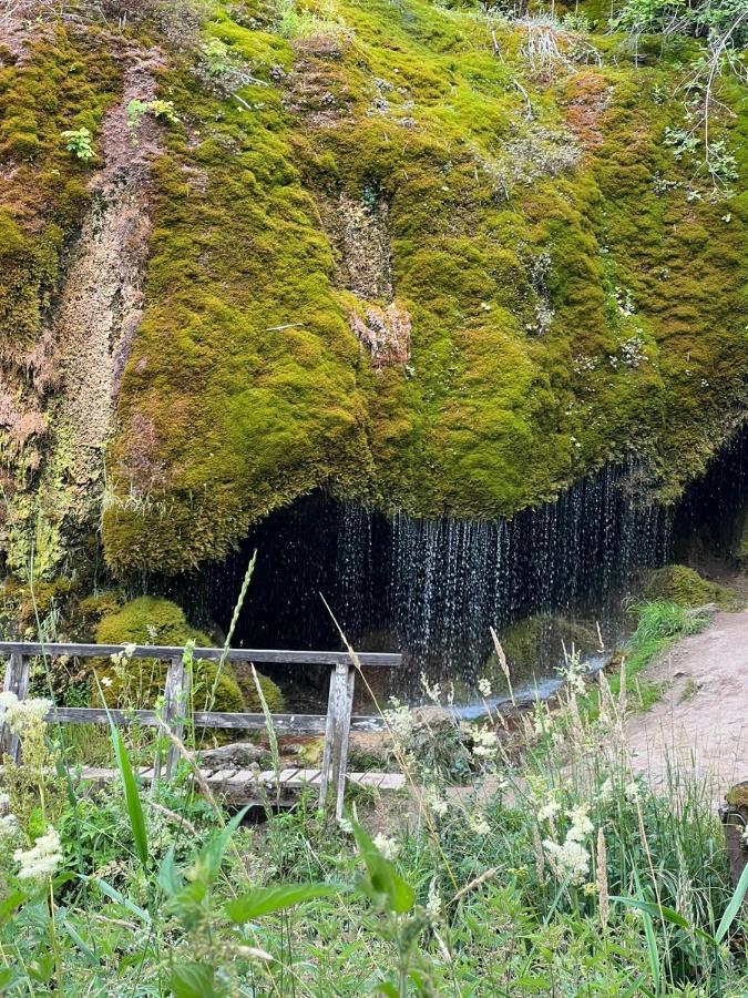 Ferienhaus Waldblick Hohenfels-Essingen Eksteriør billede